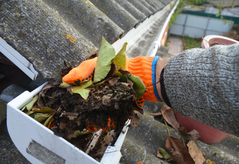Remove debris from Gutters in the spring