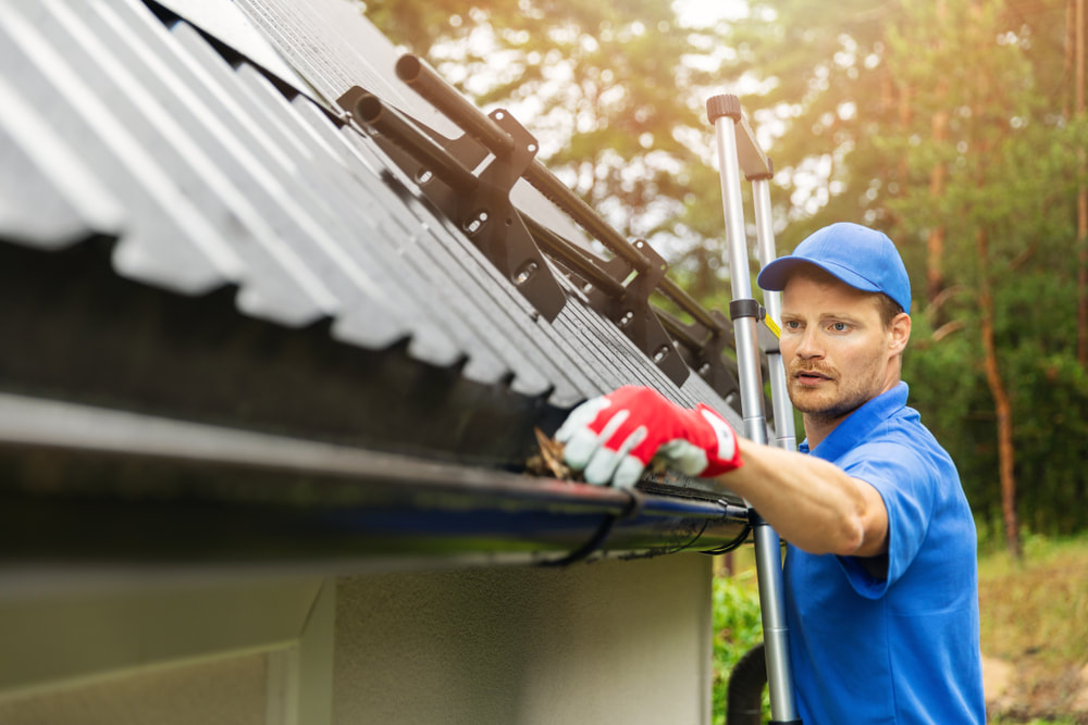 Gutter Cleaning by Professional